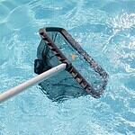 leaf skimmer